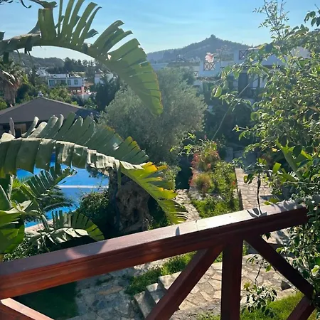 Hotel Umayra Boutique